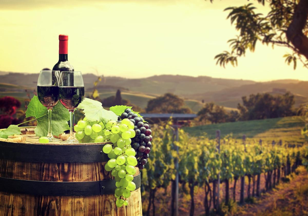 Roteiro bem desenhado